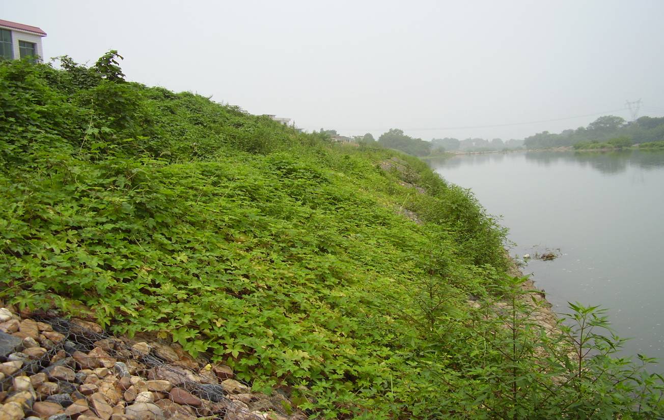 河道石籠網(wǎng)怎么防護(hù)？